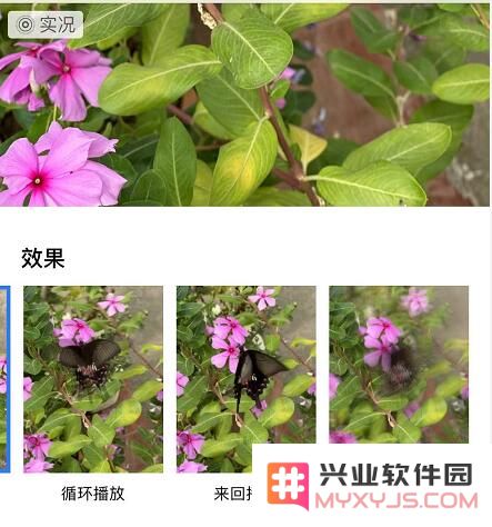iPhone 11/11 Pro 编辑实况照片的三个小技巧