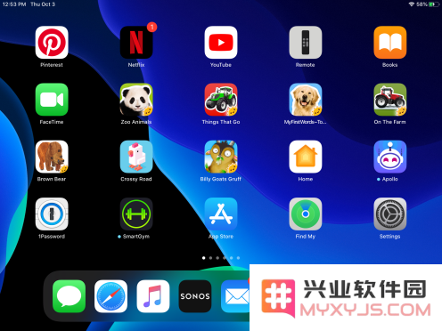 iPadOS 教程：如何使 iPad 应用程序图标和文本变得更大？