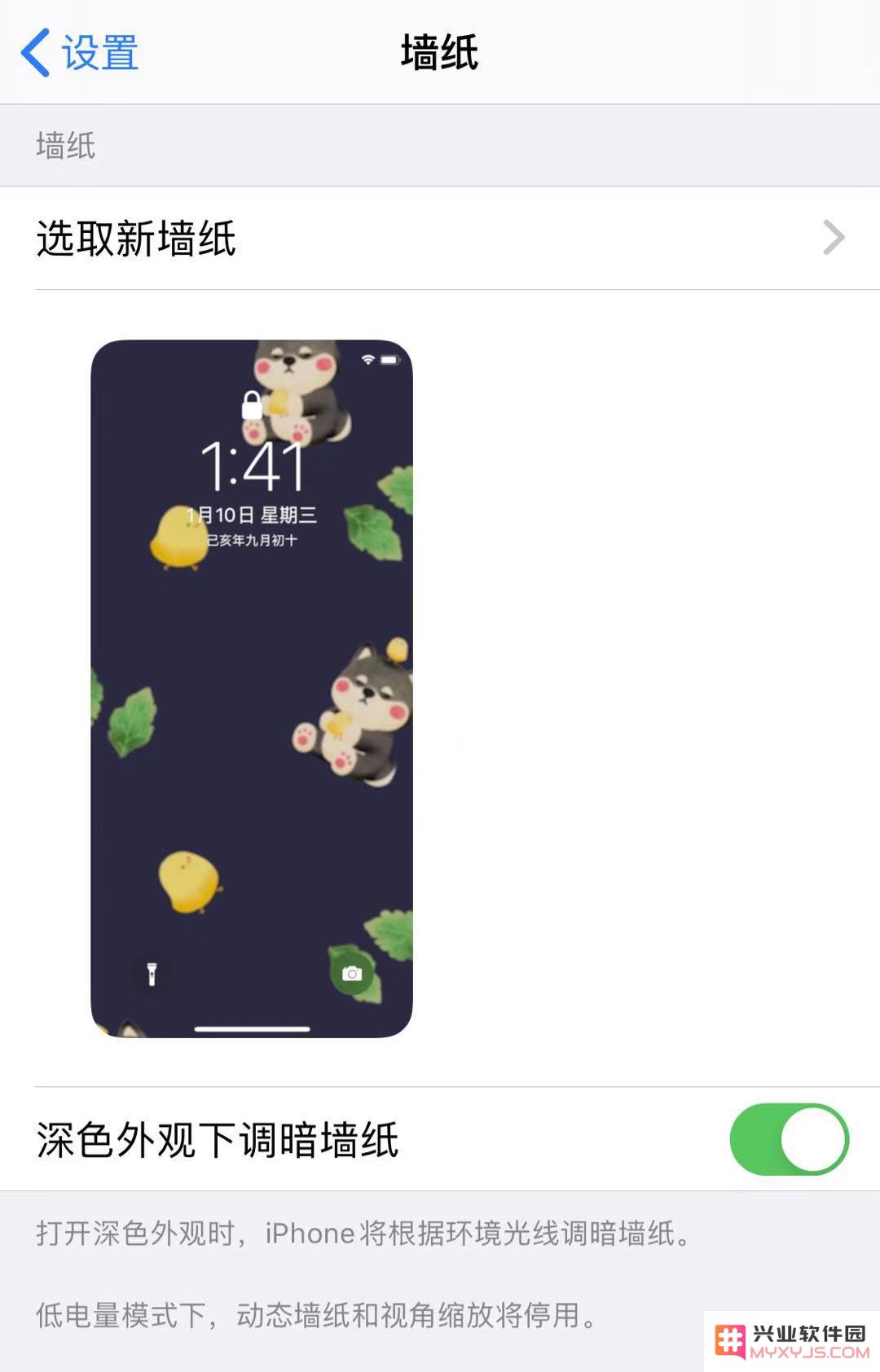 如何将 iPhone 11/11 Pro 的实况照片变为动态壁纸的实用技巧和步骤