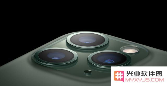 遇到 iPhone 11 Pro 相机黑屏问题时的解决方法和步骤是什么？