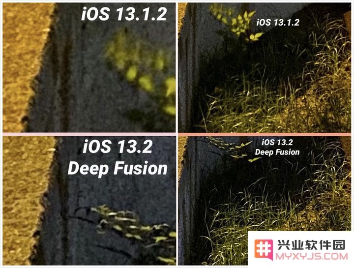 在升级至 iOS 13.2 测试版后，旧款 iPhone 是否能够充分支持 Deep Fusion 功能？
