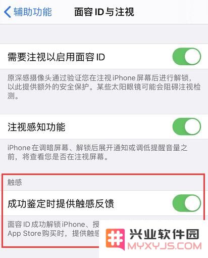 如何在 iPhone 11 和 11 Pro 中启用面容 ID 及其触感反馈功能的详细步骤
