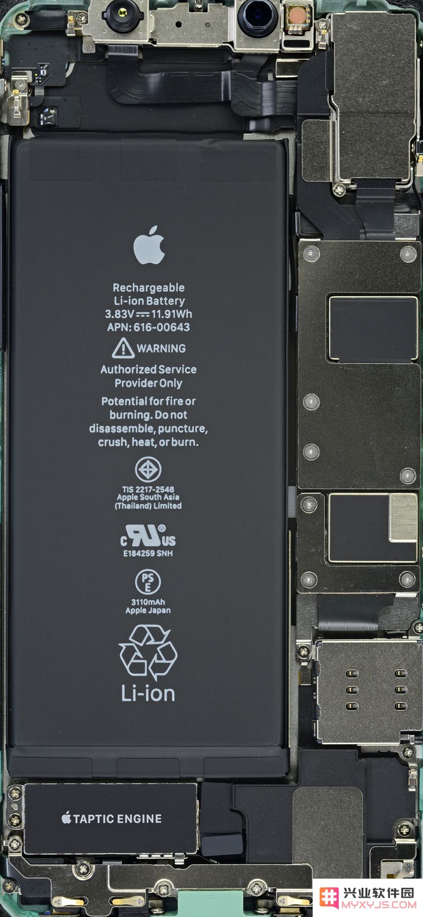壁纸精选 | 全面揭示 iPhone 11 系列内部构造及 X 光透视图（全尺寸）壁纸合集