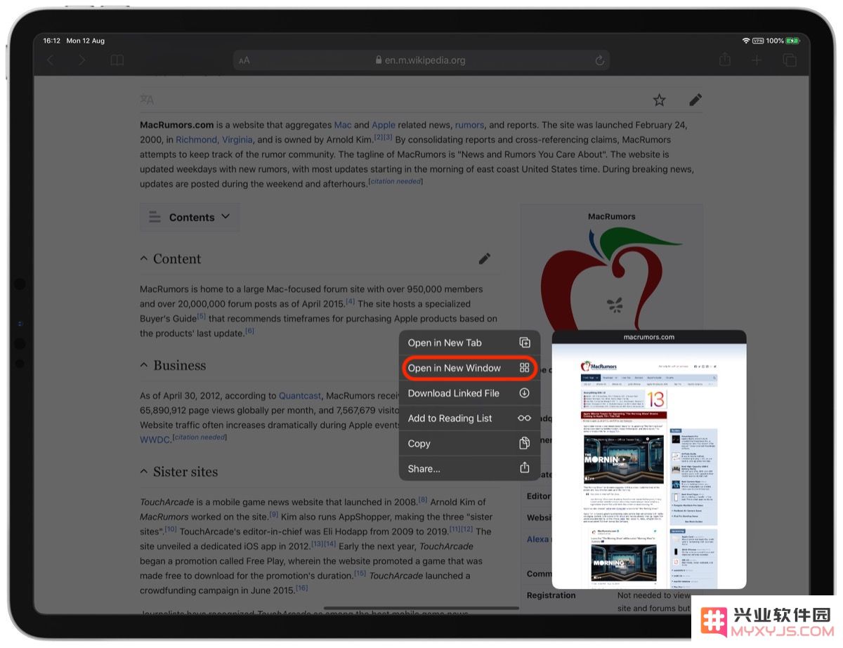 如何在 iPadOS 上通过 Safari 中的链接在新窗口中打开？
