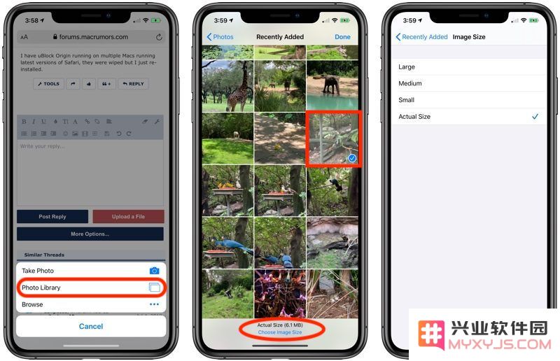 iOS 13 教程：如何在 Safari 浏览器上传图片时选择图像大小？