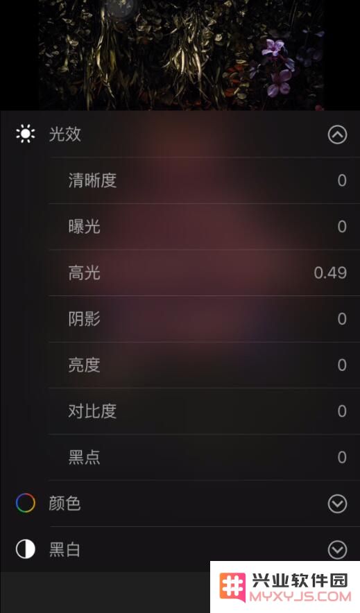 在 iPhone 上编辑照片有哪些小技巧？