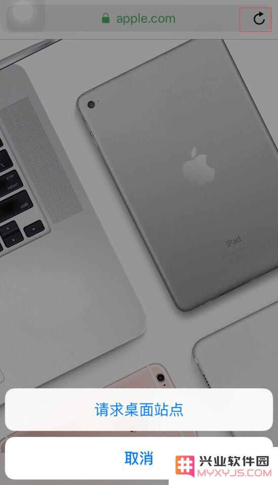 在 iPhone 上使用 Safari 浏览器的 8 个技巧