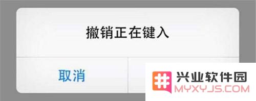 iPhone 自带的原生输入法有哪些优点？