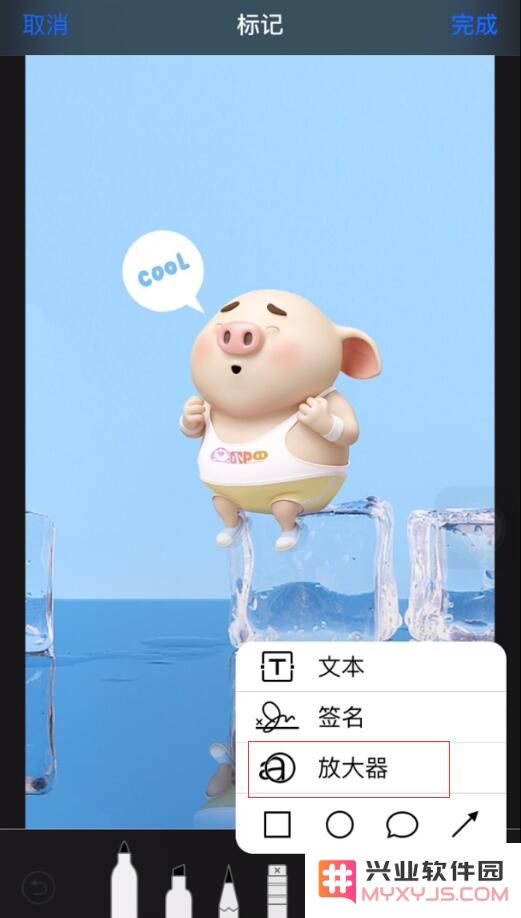iPhone 里藏着两个实用的“放大器”功能，你知道在哪吗?