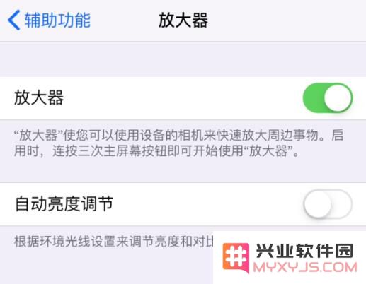你发现了吗？iPhone中隐藏的两个非常实用的“放大器”功能在哪里？