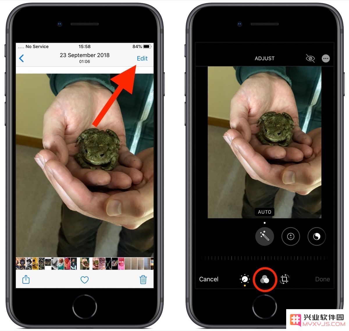 iOS 13 使用指南：一步步教你如何为照片应用和调整各种图像滤镜效果