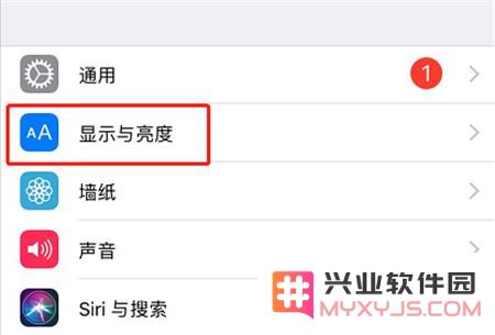 如何调整iPhoneXs Max应用图标的大小？