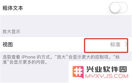 如何调整iPhoneXs Max应用图标的大小？