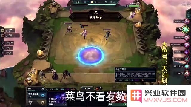 英雄联盟云顶之弈资料