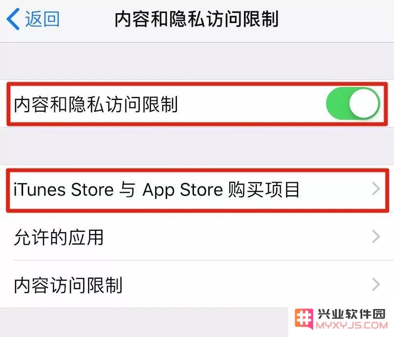 iPhone XR 如何防止误删除应用