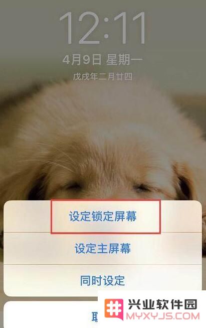 使用“实况照片”打造 iPhone 锁屏动态壁纸教程