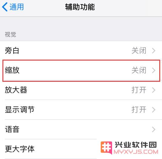 小技巧：利用“缩放”功能调整 iPhone 屏幕亮度