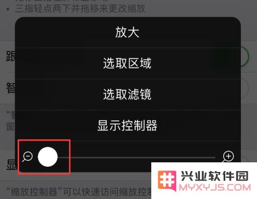 小技巧：利用“缩放”功能调整 iPhone 屏幕亮度