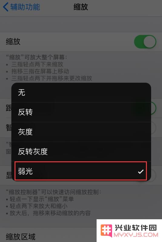 小技巧：利用“缩放”功能调整 iPhone 屏幕亮度