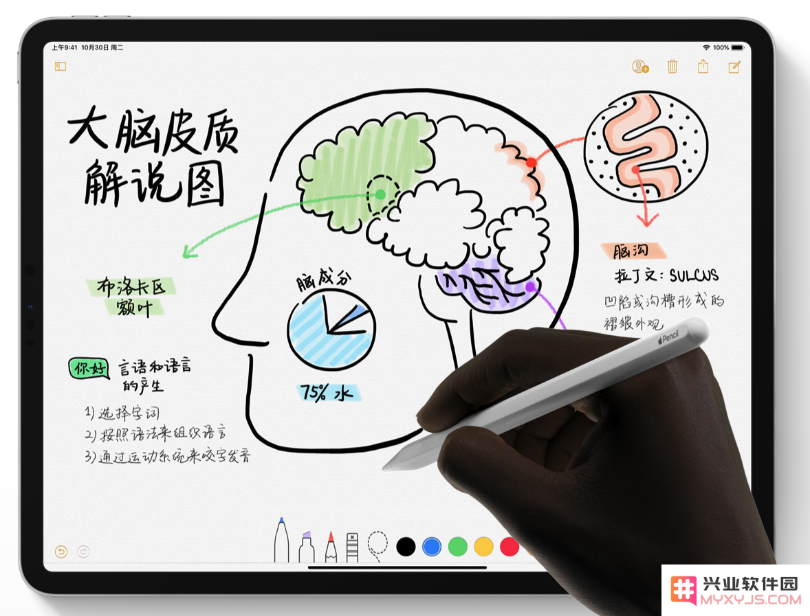 Apple Pencil 为什么需要充电使用？Apple Pencil 值得购买吗？