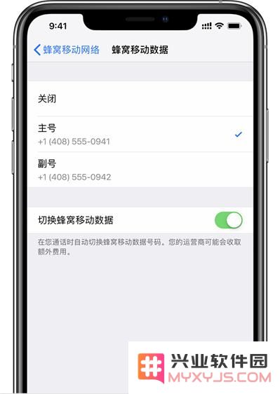 为什么 iPhone XS Max 插入两张电信卡后，副卡会显示无服务？