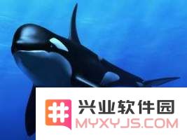 原神蛇骨矿洞鲸井小弟