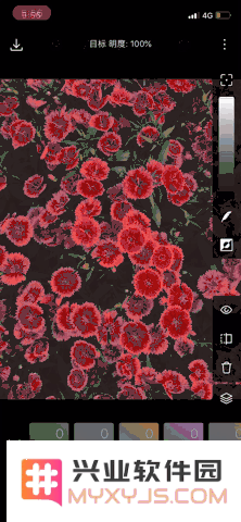 iPhone 修图应用推荐 