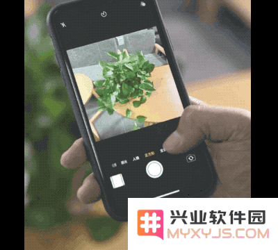 6 个让你相见恨晚的 iPhone 摄影技巧