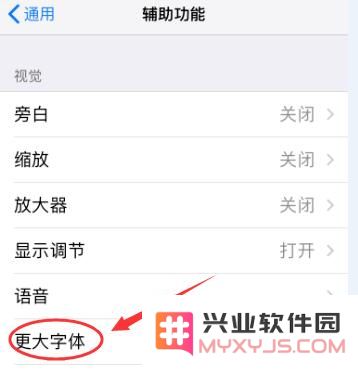iPhone XR 如何放大图标和文字？