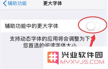 iPhone XR 如何放大图标和文字？