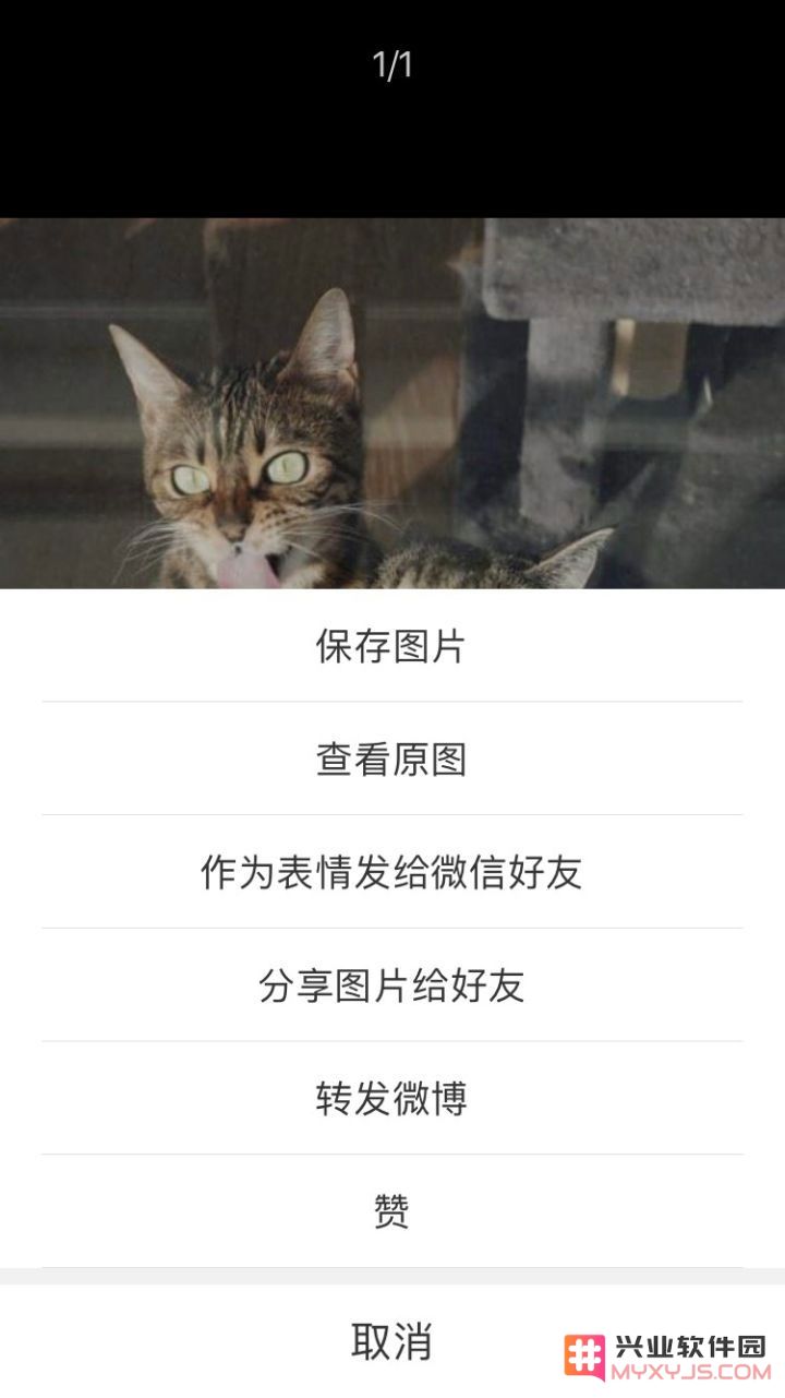 有什么让你相见恨晚的 iPhone 使用技巧？
