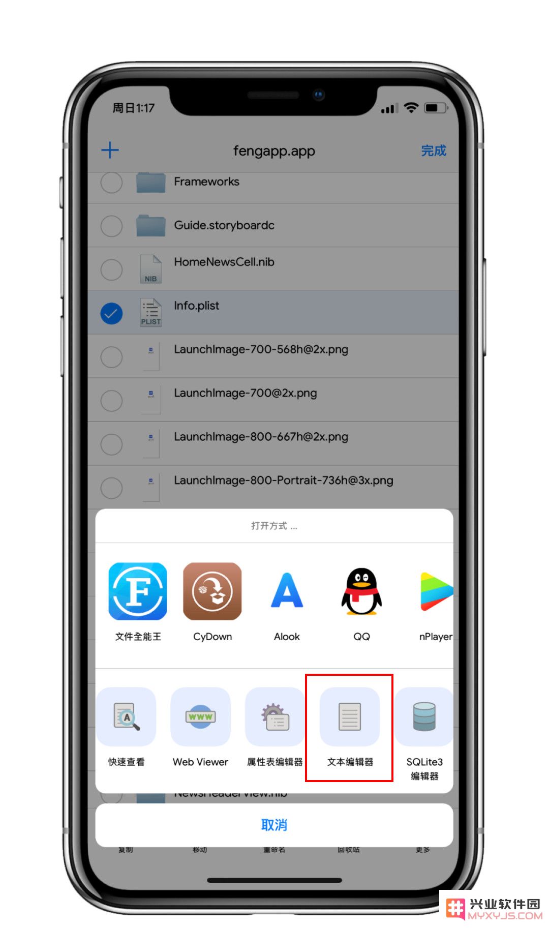 越狱后如何在 iPhone 上多开软件？