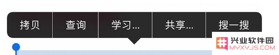 iPhone 选择文本时出现的“学习”选项有什么用？
