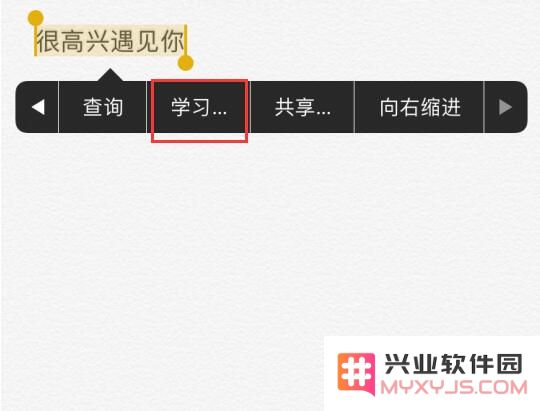 iPhone 选择文本时出现的“学习”选项有什么用？