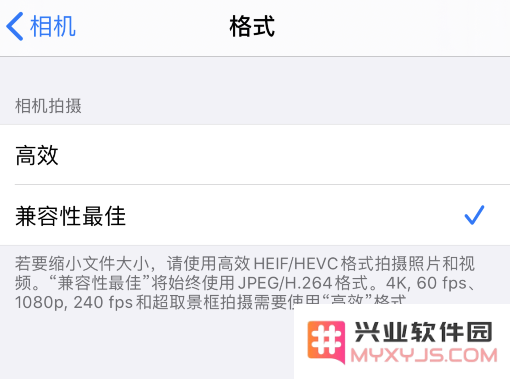 如何更改 iPhone 照片格式？