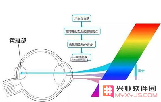 手机中的“护眼模式”真的能有效保护眼睛吗？