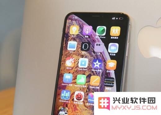 如果我的 iPhone 屏幕损坏了，我应该如何解决问题？市面上是否能够找到原装屏幕替换呢？