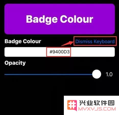 如何自定义 iPhone 小红点的颜色？怎么把通知角标修改为全透明？