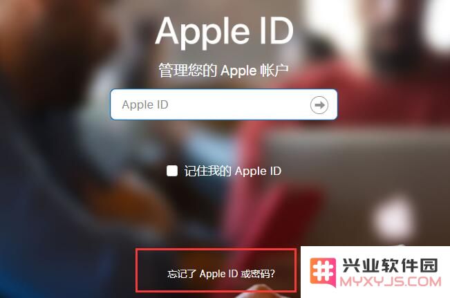 关于 Apple ID 安全：这些重要事项需牢记