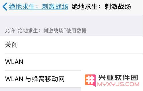 详尽指南：如何全面管理 iPhone 上已下载应用程序的权限设置