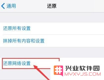 iPhone XS Max 无法使用蜂窝移动数据上网怎么办？