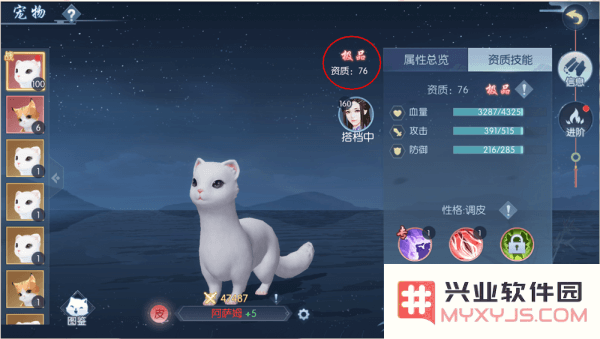 浮生为卿歌的宠物攻略