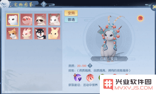 浮生为卿歌的宠物攻略