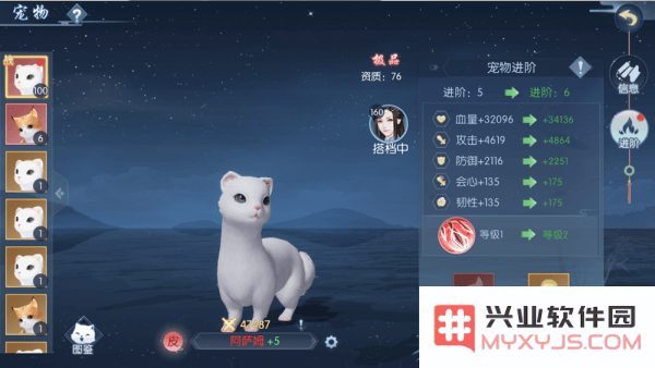 浮生为卿歌的宠物攻略