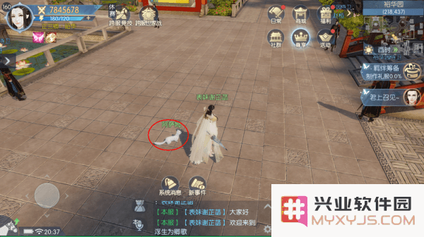 浮生为卿歌的宠物攻略