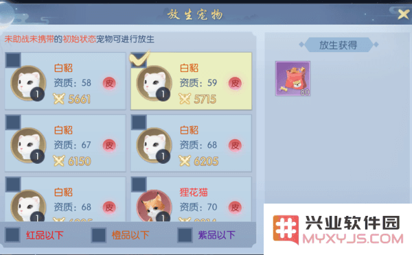 浮生为卿歌的宠物攻略