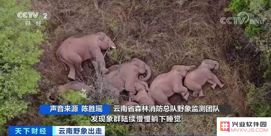 原神群玉阁对话