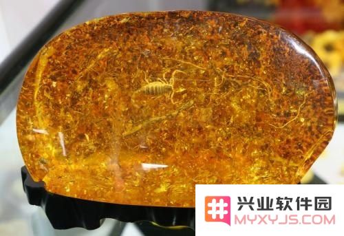 原神琥珀石在哪